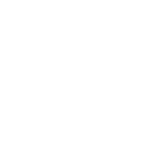 22cm