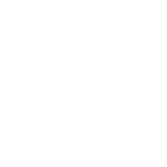 24cm