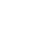Džepno jezgro