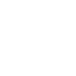Viscosa